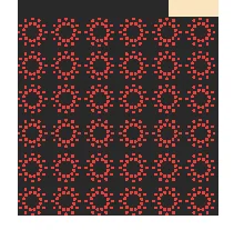 Fractional scan pattern